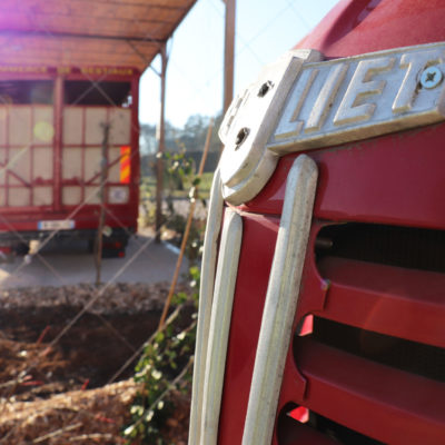 Camions anciens et espaces verts : au cœur des Transports Cordier